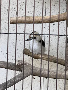 天王寺動物園に投稿された画像（2022/1/8）