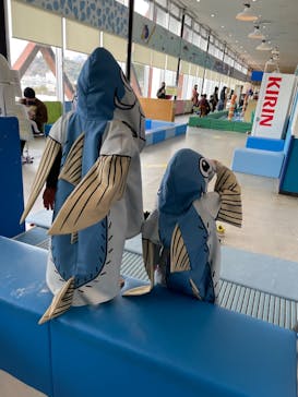 伊豆・三津シーパラダイスに投稿された画像（2022/1/8）