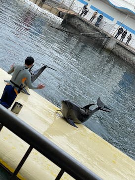 伊豆・三津シーパラダイスに投稿された画像（2022/1/8）