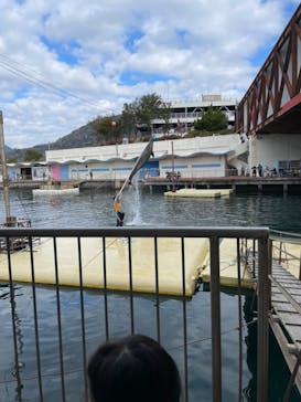 伊豆・三津シーパラダイスに投稿された画像（2022/1/8）