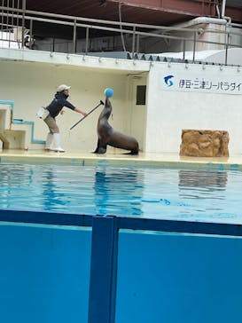 伊豆・三津シーパラダイスに投稿された画像（2022/1/8）