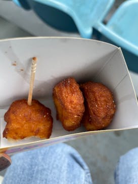 伊豆・三津シーパラダイスに投稿された画像（2022/1/8）