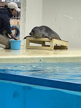 伊豆・三津シーパラダイスに投稿された画像（2022/1/8）