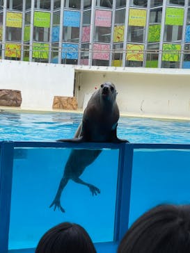 伊豆・三津シーパラダイスに投稿された画像（2022/1/8）