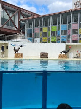 伊豆・三津シーパラダイスに投稿された画像（2022/1/8）