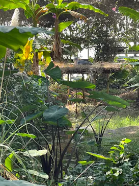 神戸どうぶつ王国に投稿された画像（2022/1/8）