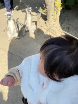 神戸どうぶつ王国に投稿された画像（2022/1/8）