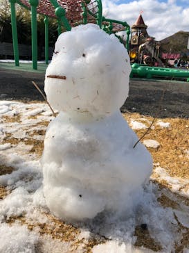 伊豆ぐらんぱる公園に投稿された画像（2022/1/8）