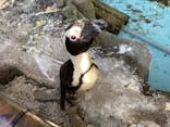 伊豆シャボテン動物公園に投稿された画像（2022/1/8）