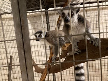 伊豆シャボテン動物公園に投稿された画像（2022/1/8）