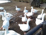 伊豆シャボテン動物公園に投稿された画像（2022/1/8）