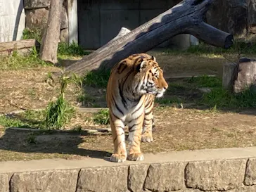 天王寺動物園に投稿された画像（2022/1/8）