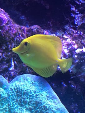 マクセル アクアパーク品川に投稿された画像（2022/1/8）