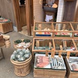 西武園ゆうえんちに投稿された画像（2022/1/8）