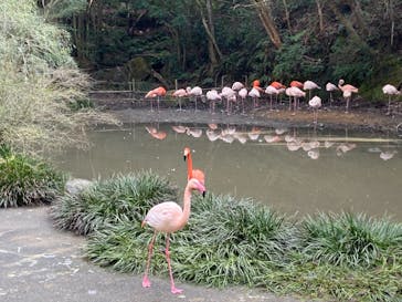 長崎バイオパークに投稿された画像（2022/1/8）