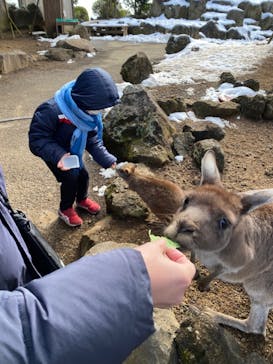 伊豆シャボテン動物公園に投稿された画像（2022/1/8）