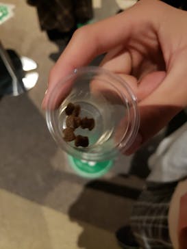 Moff animal world MARK IS みなとみらい店に投稿された画像（2022/1/8）