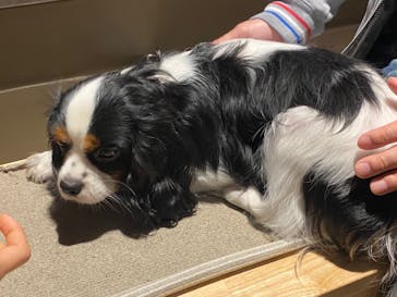 Moff animal world MARK IS みなとみらい店に投稿された画像（2022/1/8）