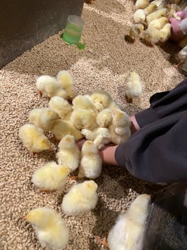 Moff animal world MARK IS みなとみらい店に投稿された画像（2022/1/8）