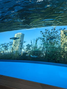 サンシャイン水族館に投稿された画像（2022/1/8）