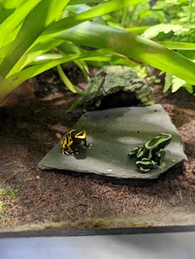 サンシャイン水族館に投稿された画像（2022/1/8）