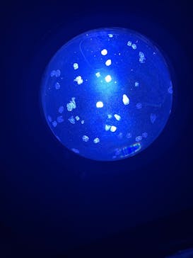 サンシャイン水族館に投稿された画像（2022/1/8）