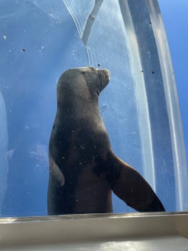サンシャイン水族館に投稿された画像（2022/1/8）