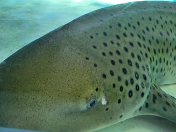 マクセル アクアパーク品川に投稿された画像（2022/1/8）