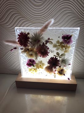 ずこうしつ〜sugamo〜に投稿された画像（2022/1/8）