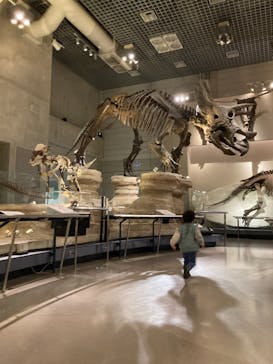 国立科学博物館に投稿された画像（2022/1/8）