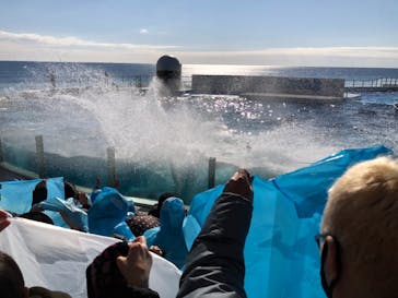 鴨川シーワールドに投稿された画像（2022/1/8）