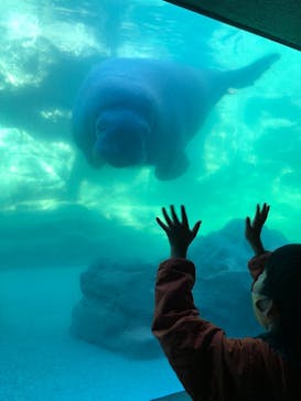 鴨川シーワールドに投稿された画像（2022/1/8）