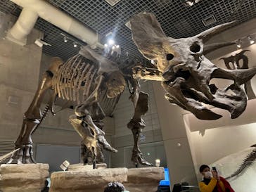 国立科学博物館に投稿された画像（2022/1/8）