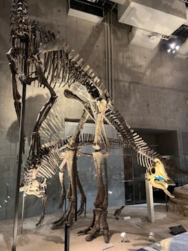 国立科学博物館に投稿された画像（2022/1/8）