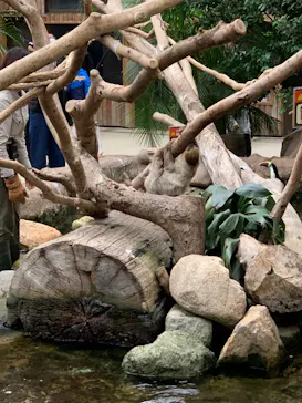 神戸どうぶつ王国に投稿された画像（2022/1/8）