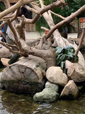 神戸どうぶつ王国に投稿された画像（2022/1/8）