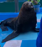 ゼロ距離水族館 伊勢シーパラダイスに投稿された画像（2022/1/8）