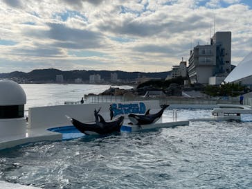 鴨川シーワールドに投稿された画像（2022/1/8）