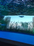 サンシャイン水族館に投稿された画像（2022/1/8）
