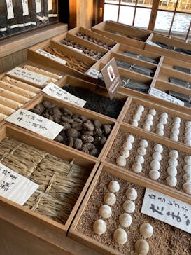 江戸東京たてもの園に投稿された画像（2022/1/8）