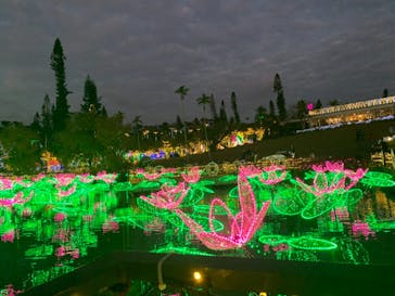 美らヤシパークオキナワ・東南植物楽園に投稿された画像（2022/1/8）