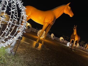 東京メガイルミに投稿された画像（2022/1/8）