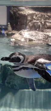 すみだ水族館に投稿された画像（2022/1/8）