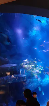 すみだ水族館に投稿された画像（2022/1/8）