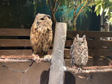 Moff animal world MARK IS みなとみらい店に投稿された画像（2022/1/8）