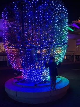 東京メガイルミに投稿された画像（2022/1/8）