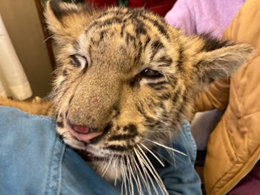 しろとり動物園に投稿された画像（2022/1/8）