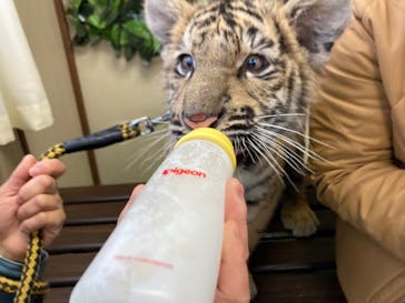 しろとり動物園に投稿された画像（2022/1/8）