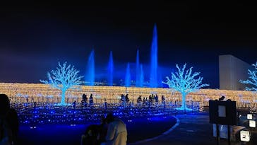 東京メガイルミに投稿された画像（2022/1/8）