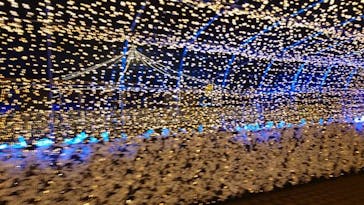 東京メガイルミに投稿された画像（2022/1/8）